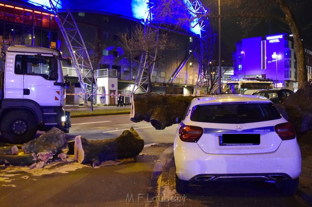 Baum auf PKWs Koeln Mitte Rheinuferstr Goldgasse P028.JPG - Miklos Laubert